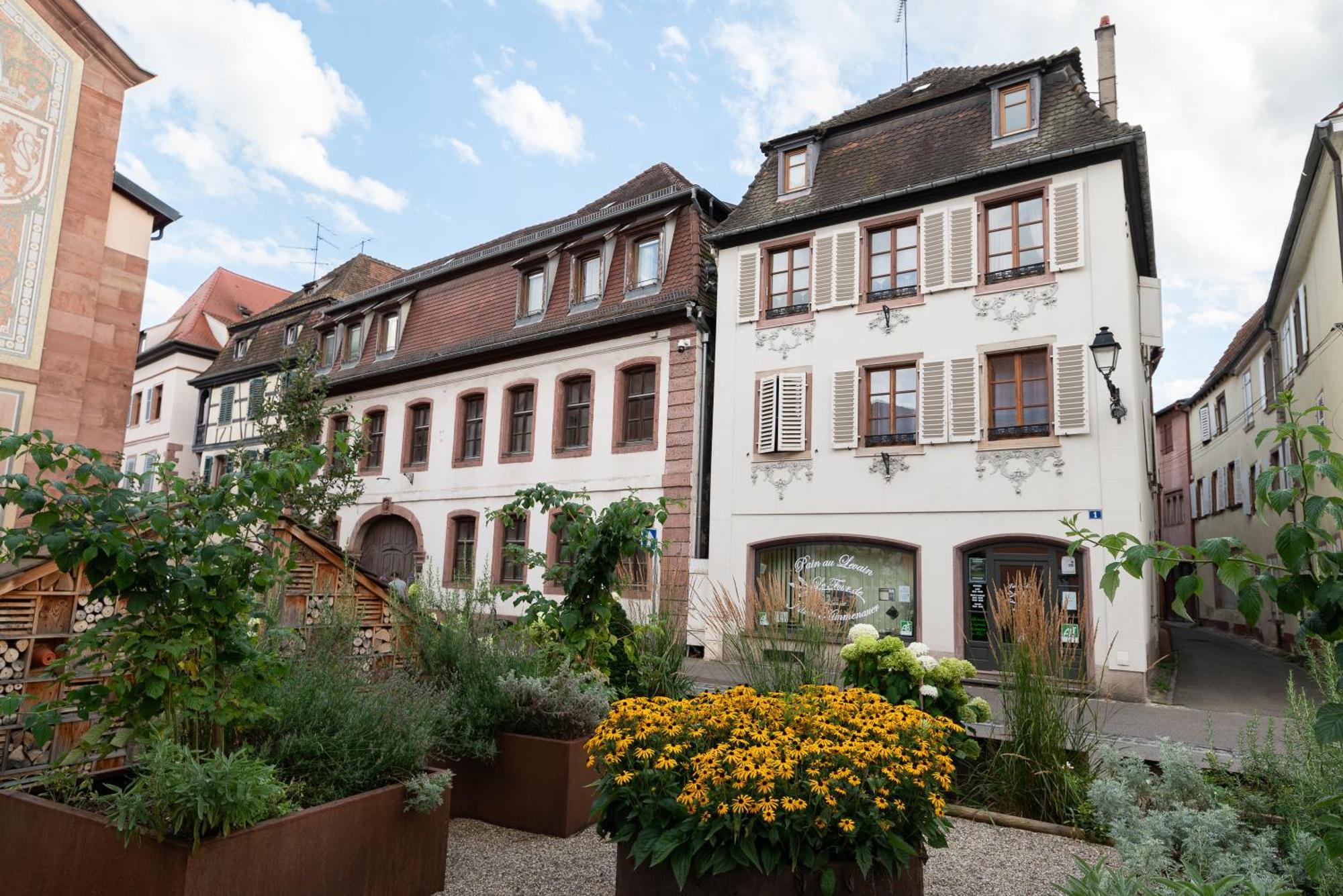 Le Repaire Du Chanceux Sélestat Exterior photo